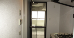 Verona池袋本町Lusso 208