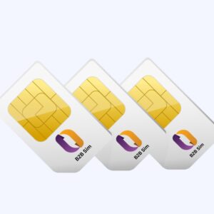 1GB
